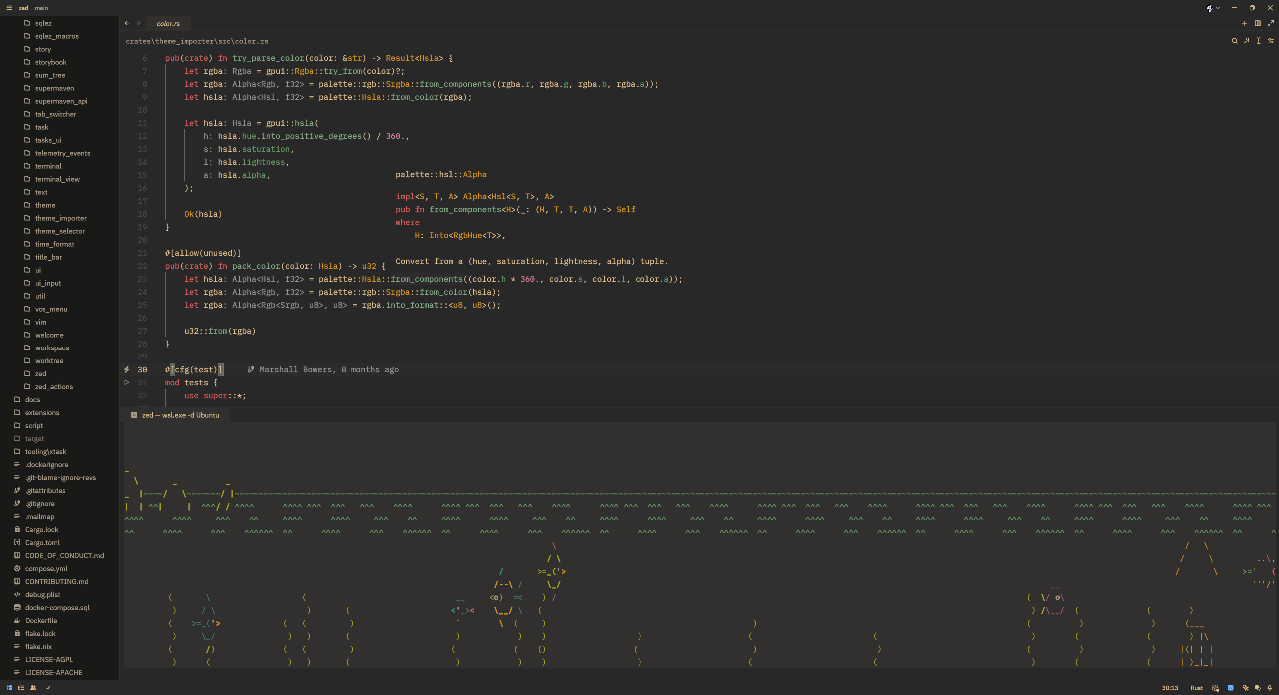 The Gruvbox ish Medium theme displaying a source code rust file in the zed repository, with asciiquarium under WSL playing in the terminal on the bottom pane.