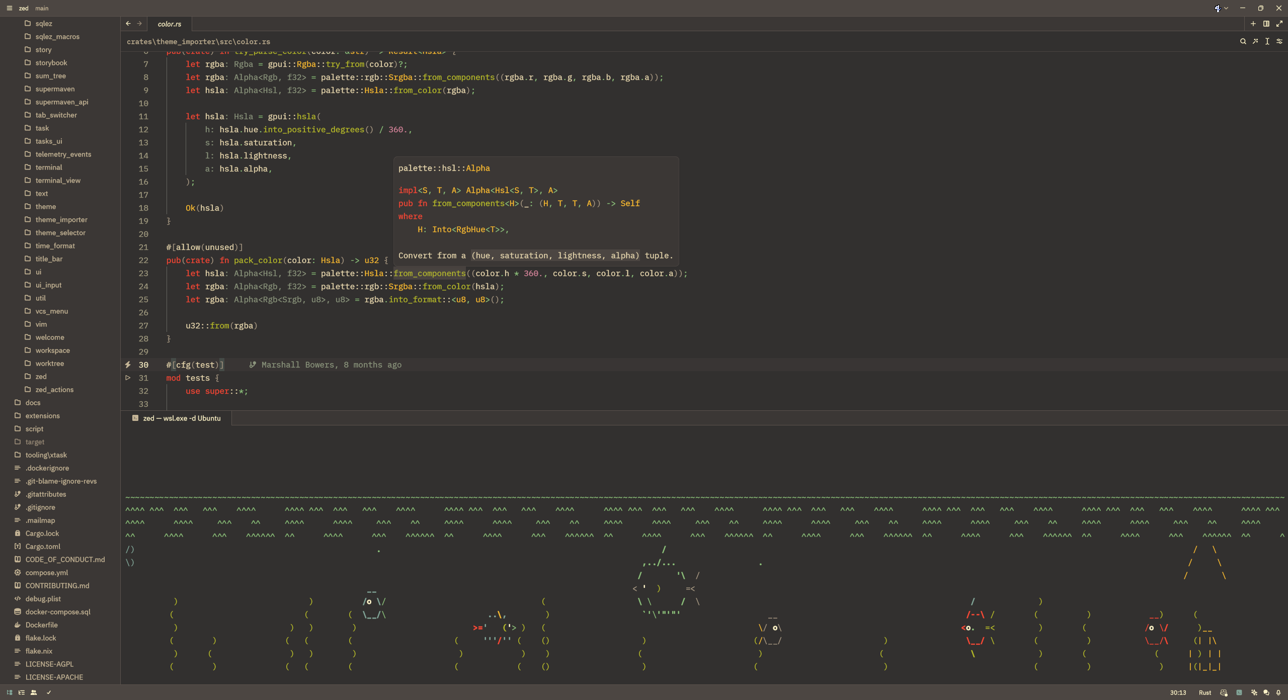 The Gruvbox ish Soft theme displaying a source code rust file in the zed repository, with asciiquarium under WSL playing in the terminal on the bottom pane.