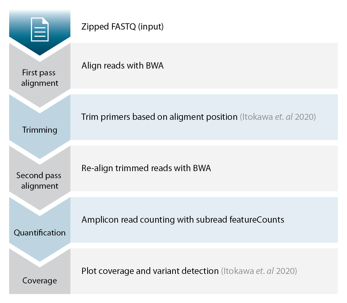 analysis workflow