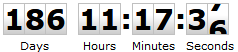 New Year Timer