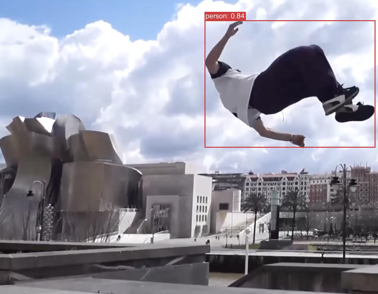 LibreYOLO Detection Result