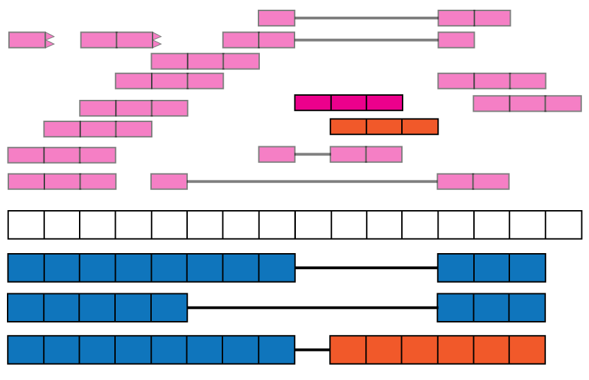 Intron retention events. Some reads might align with known intronic segments of the genome and provide information for exploring intron retention events (pink read). Some might support an intron retention event or a new isoform when coupled with exon-exon junction data (orange read).