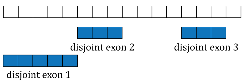 Disjoint exons. Windows of distinct exonic sequence for the example gene. Disjoint exons 1 and 2 form exon 1.