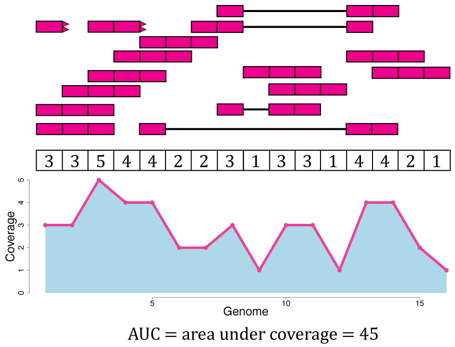 Area under coverage (AUC). The area under coverage is the sum of the base-pair coverage for all positions in the genome regardless of the annotation. It is the area under the base-level coverage curve shown as the light blue area under the pink curve.