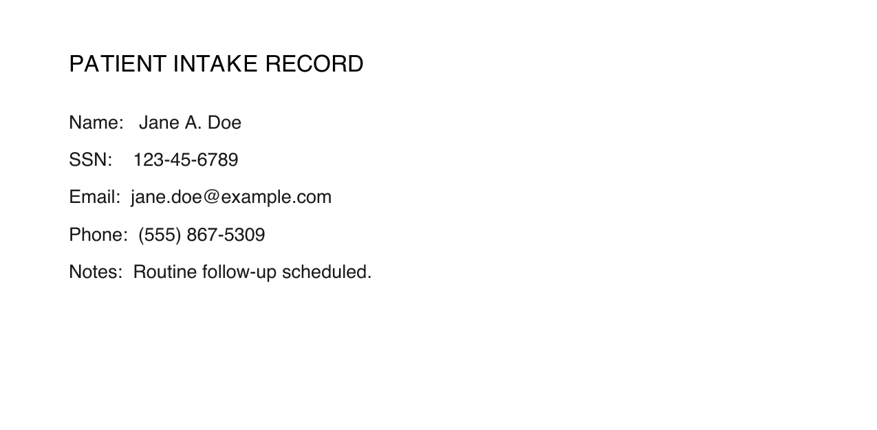 Original PDF showing a patient intake record with name, SSN, email and phone