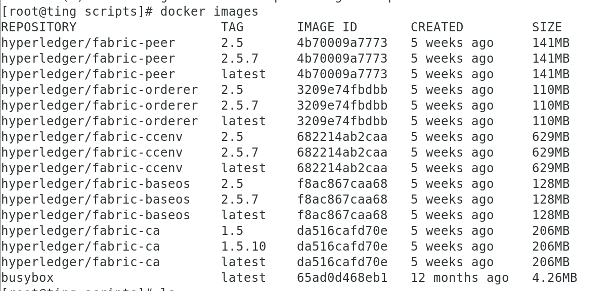 image-20240522231202819