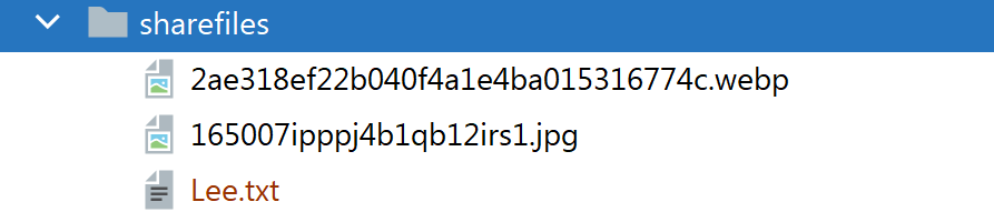 image-20240924225727420