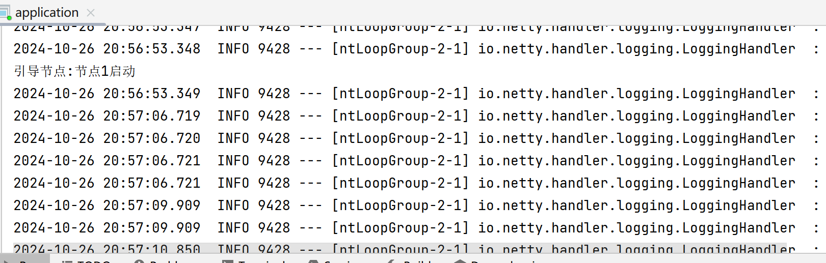 image-20241026205827057
