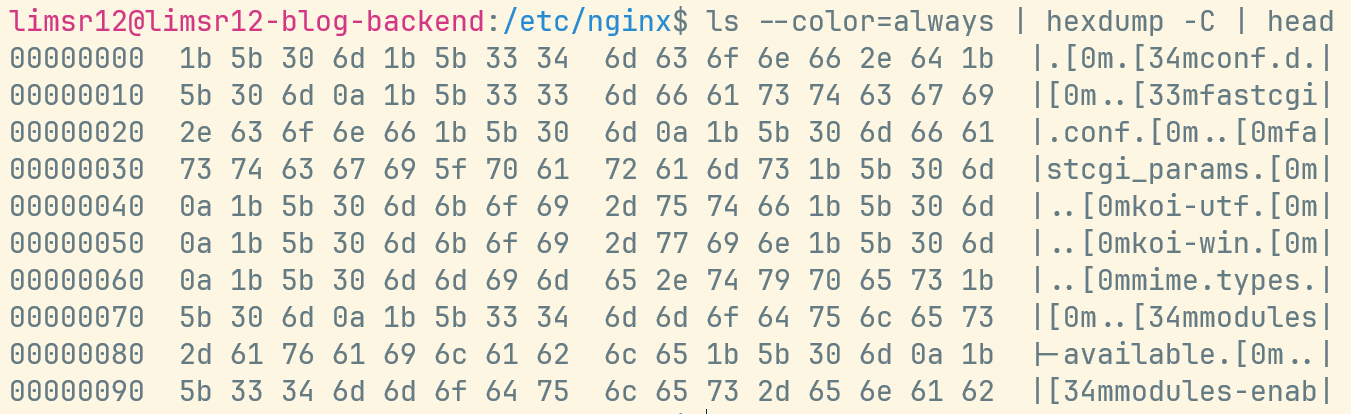 hexdump 결과 스크린샷