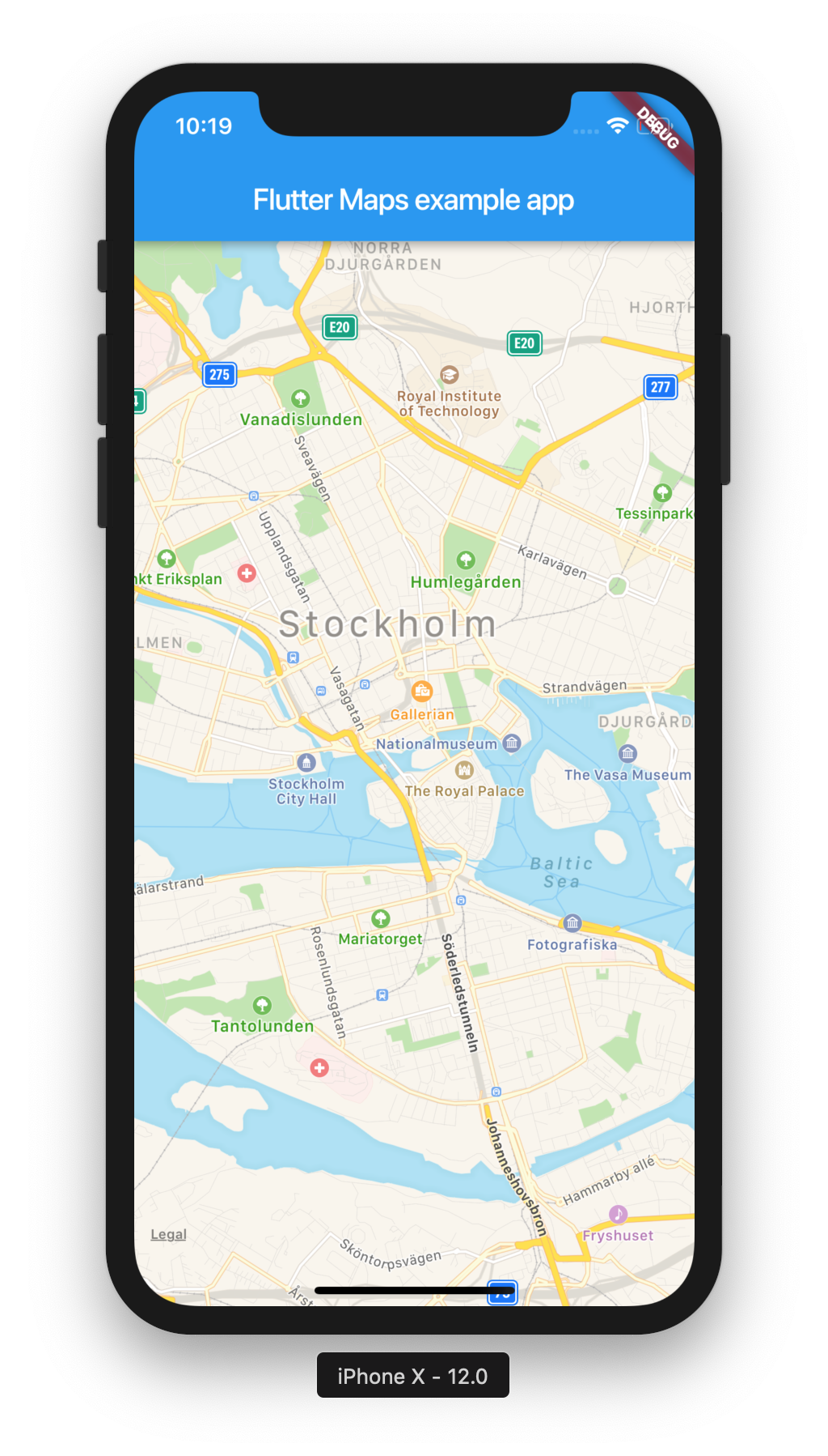 flutter-maps