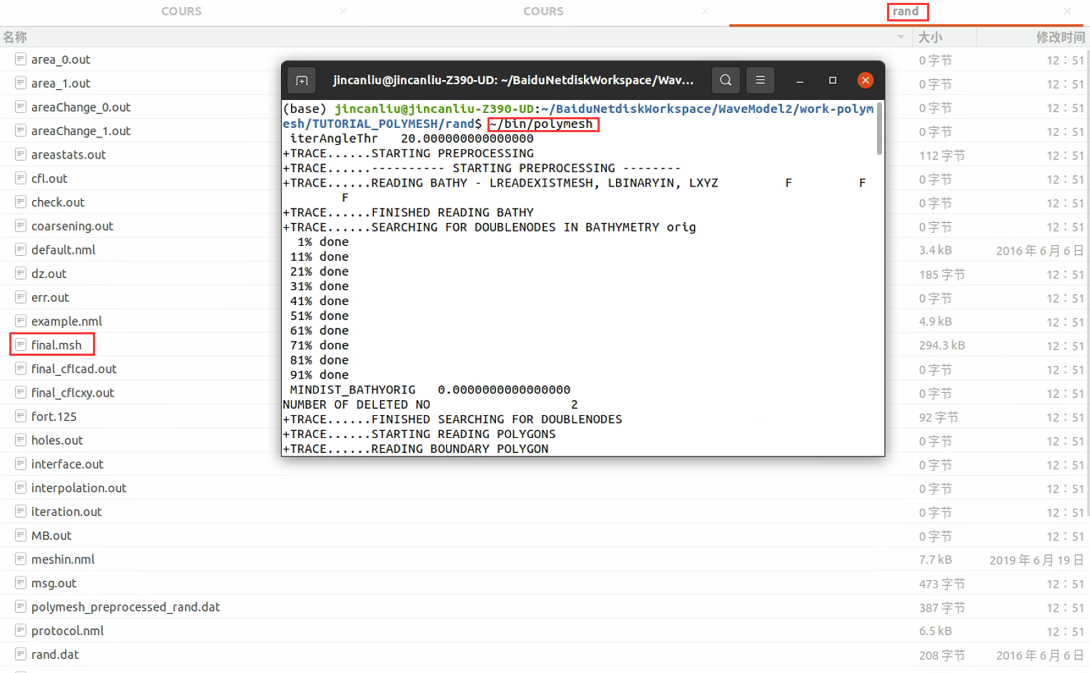 运行POLYMESH后，在rand工作文件夹生成的部分文件
