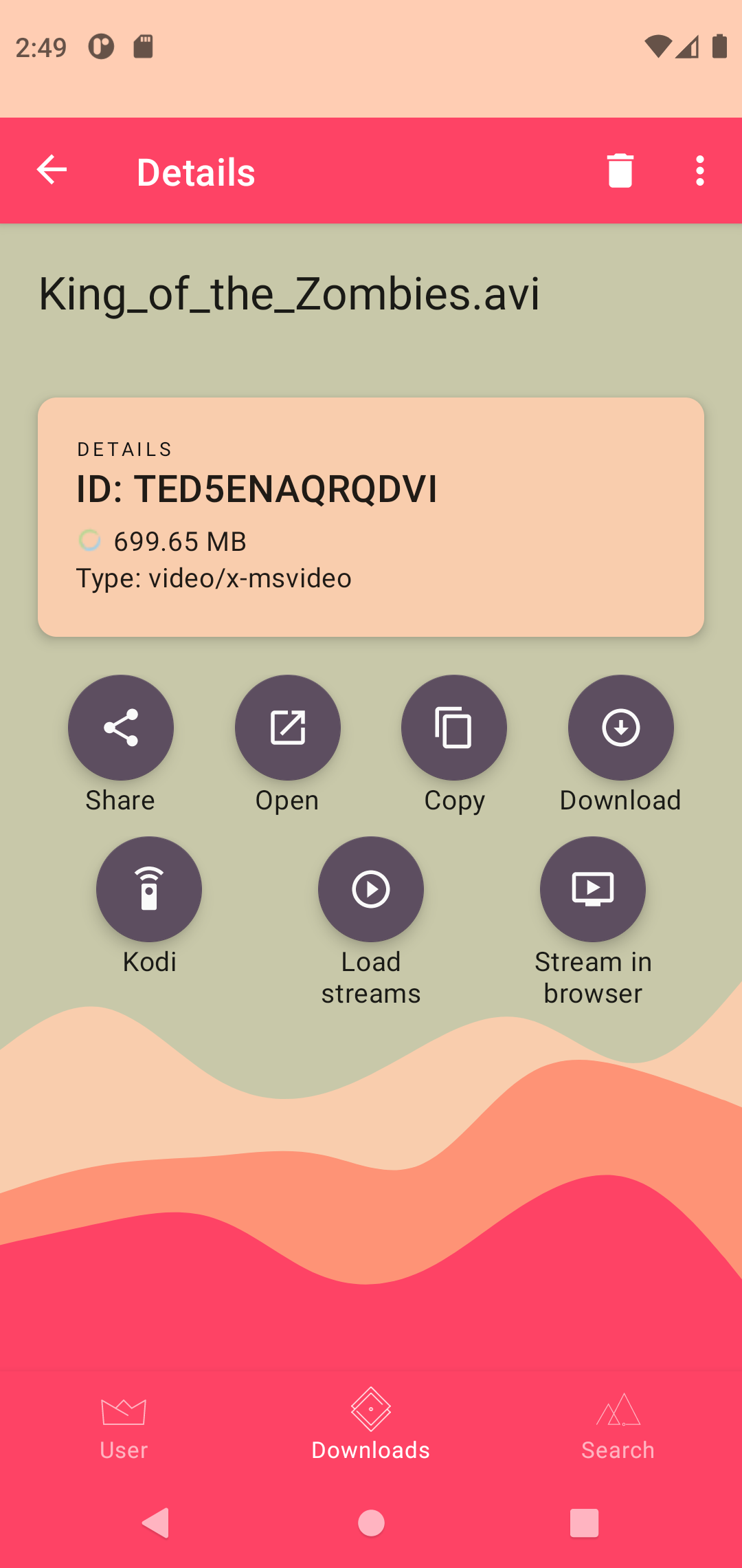 Download details screen