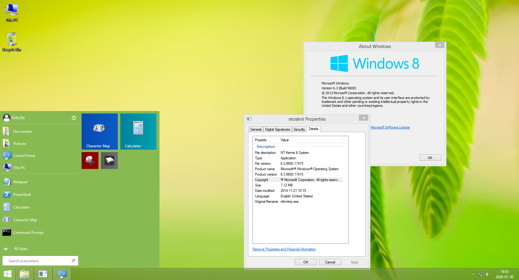 Windows 8.1 screenshot 2