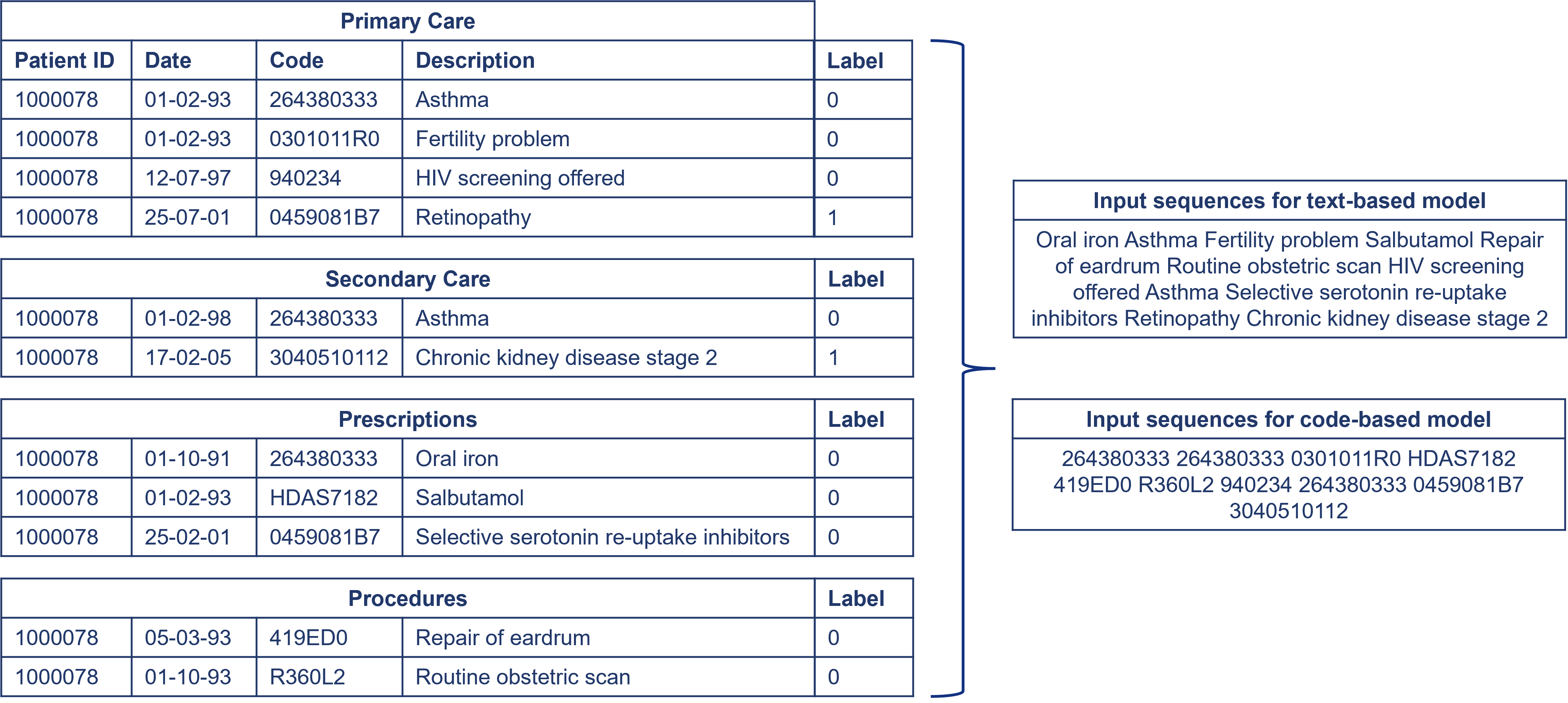 Input format for text and code approaches