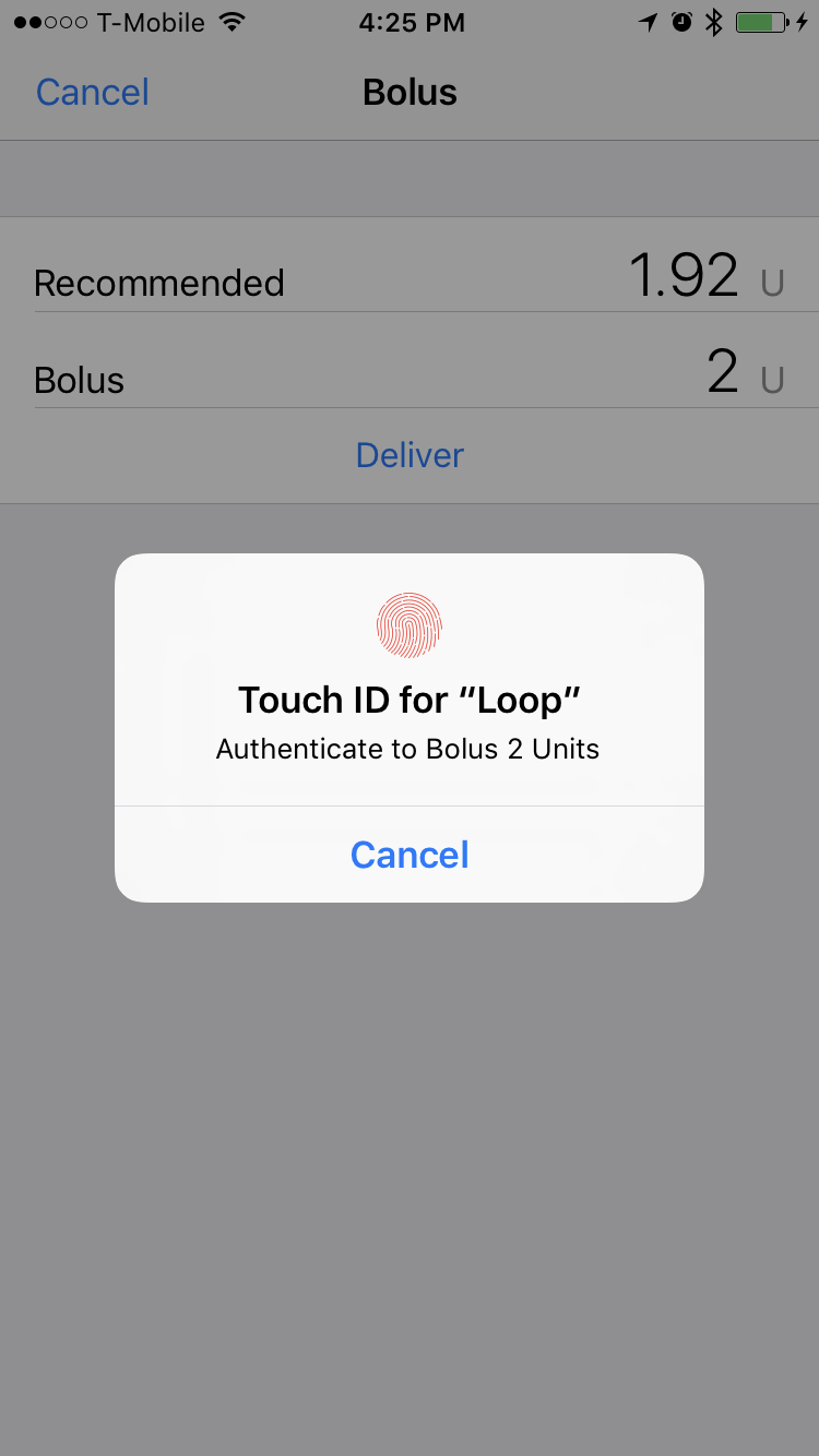 Screenshot of bolus screen