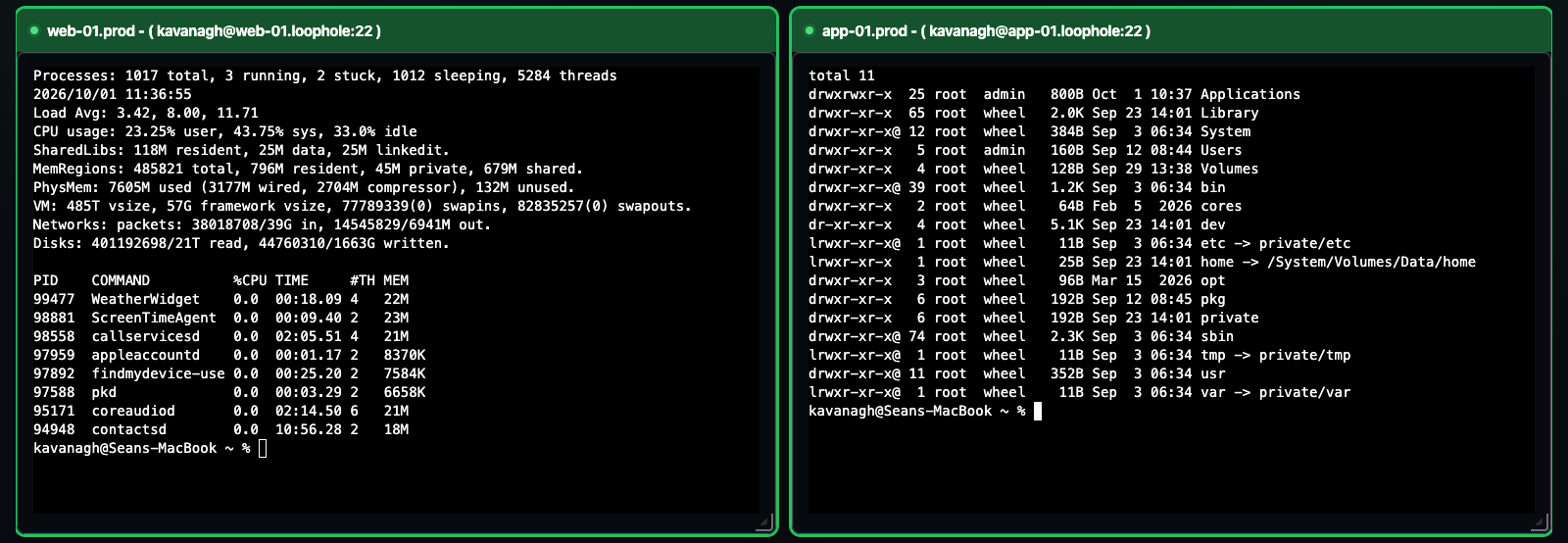 Two live terminals showing process information and a directory listing