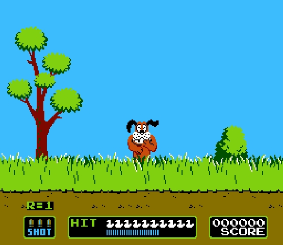 Duck Hunt