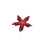 Deco_Starfish