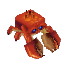 Fish_Crab_Item