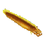 Fish_Eel_Moray_Item