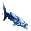 Fish_Frostgill_Item