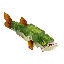 Fish_Pike_Item