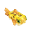 Fish Rare