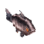 Fish_Salmon_Item