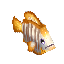 Fish_Tang_Sailfin_Item