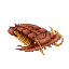 Fish_Trilobite_Item