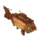 Fish_Trout_Rainbow_Item