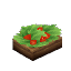Food_Salad_Berry