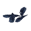 Ingredient_Feathers_Dark