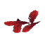 Ingredient_Feathers_Red