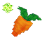 Ingredient_Life_Essence_Carrot