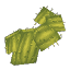 Plant_Cactus_Flat_2