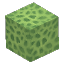 Plant_Coral_Block_Lime