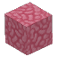 Plant_Coral_Block_Pink