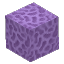 Plant_Coral_Block_Purple