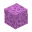 Plant_Coral_Block_Violet