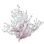 Bleached Coral Bush