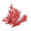 Plant_Coral_Bush_Red