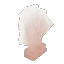 Dead Giant Coral Fan