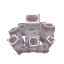 Dead Coral Sponge