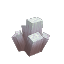 Dead Bracket Coral