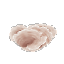 Dead Coral Rose