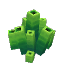 Plant_Coral_Model_Green