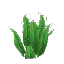 Plant_Fern_Tall