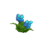 Plant_Flower_Common_Cyan2