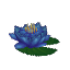 Plant_Flower_Water_Blue